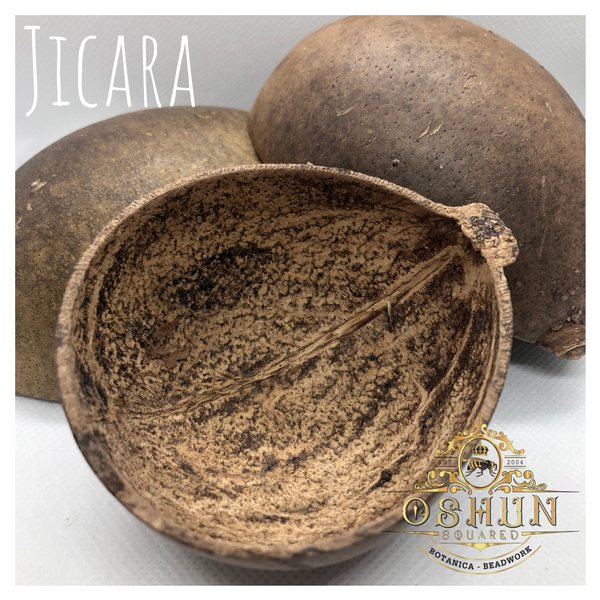 Jicara | Set of 3