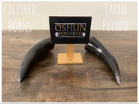 Polished Horn | Tarro Pulido