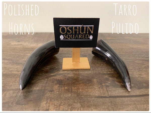 Polished Horn | Tarro Pulido